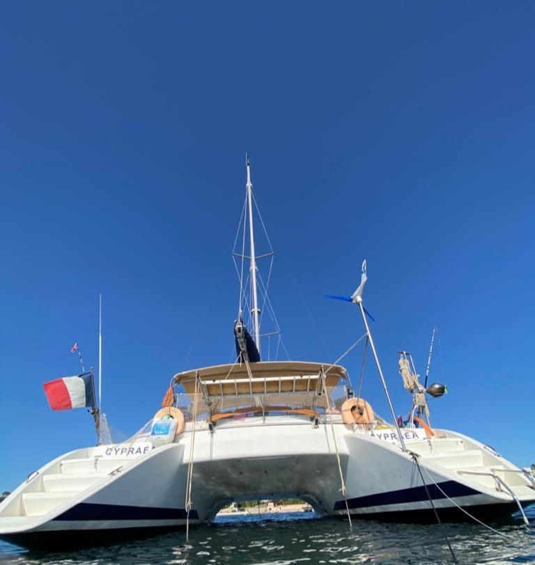 Catamaran Cypraea Hotel Terre-De-Haut Exterior foto